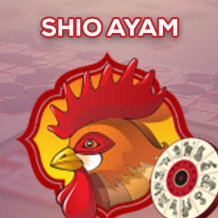 SHIO AYAM